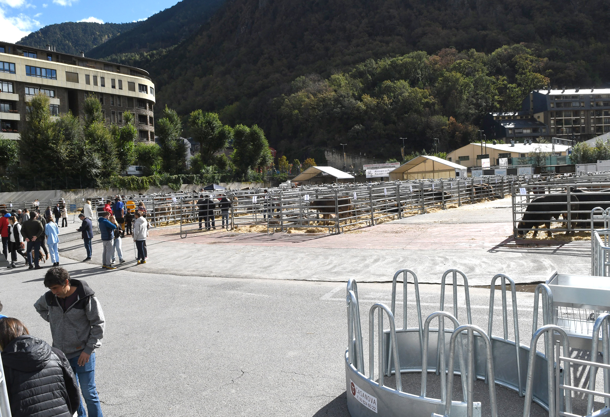 El ministre Casal anuncia a la Fira del bestiar que les ajudes anuals al sector ramader s’incrementaran prop de 500 mil euros