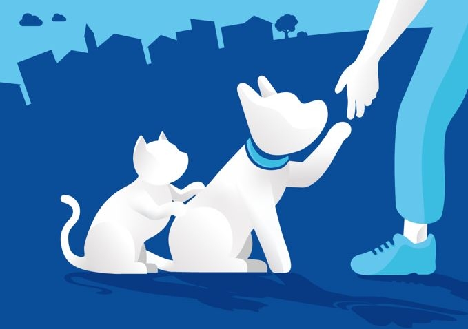 El Govern acompanya les associacions animalistes perquè impulsin activitats per fomentar una tinença responsable d’un animal de companyia