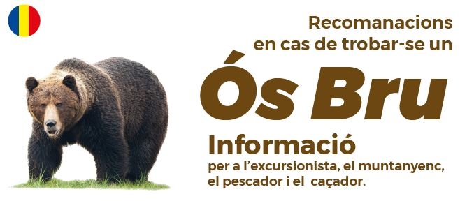 El cos de Banders localitza rastres de pèl i femta de l’os en territori andorrà