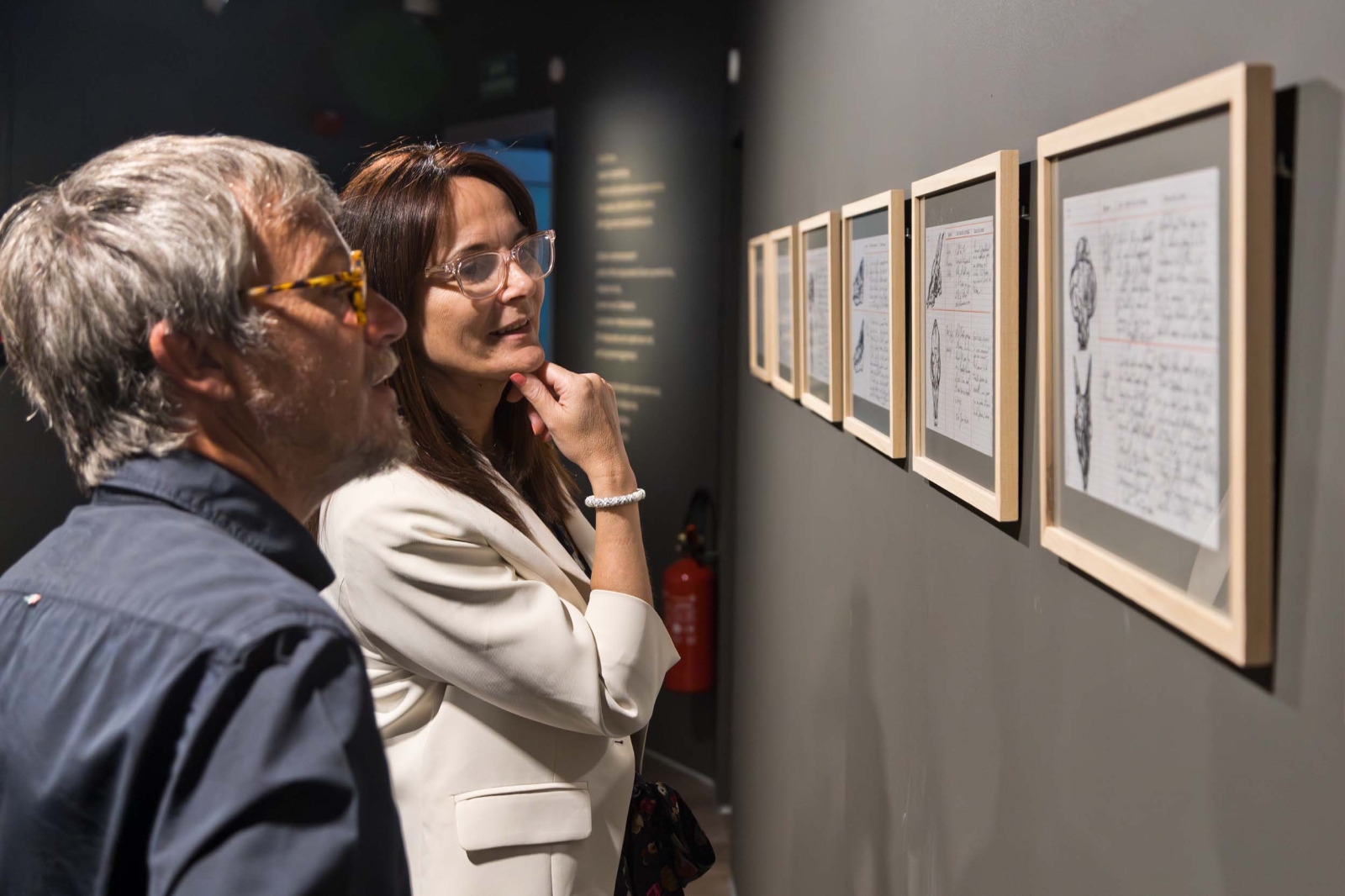 L’empremta humana sobre el medi natural centra la nova mostra de la sala d’exposicions del Govern