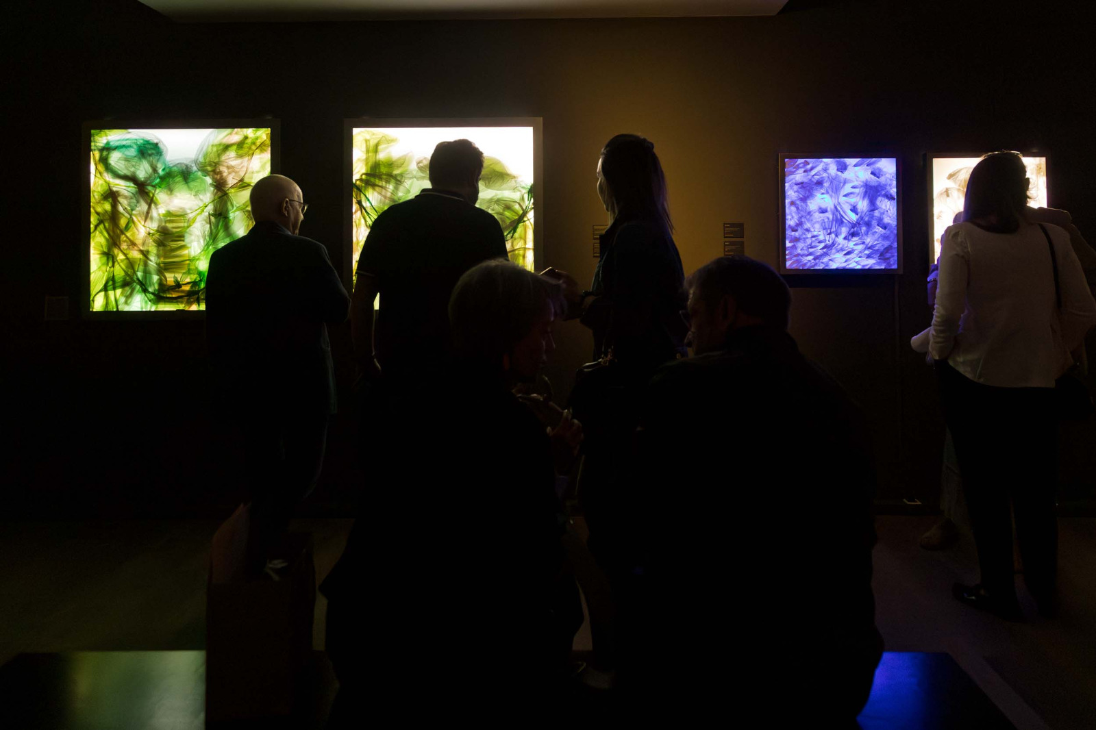 L’empremta humana sobre el medi natural centra la nova mostra de la sala d’exposicions del Govern