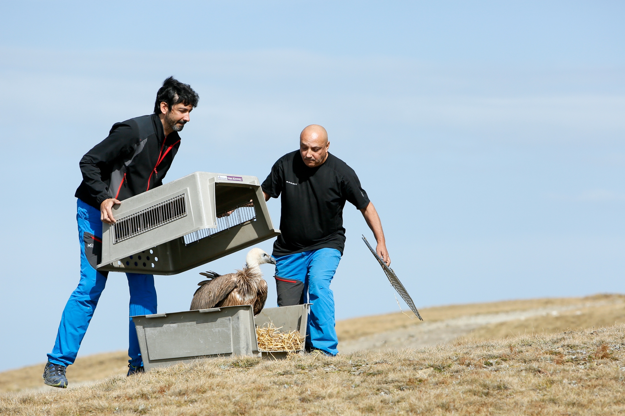 El Govern declara projecte d’interès nacional el Centre de recuperació de la fauna