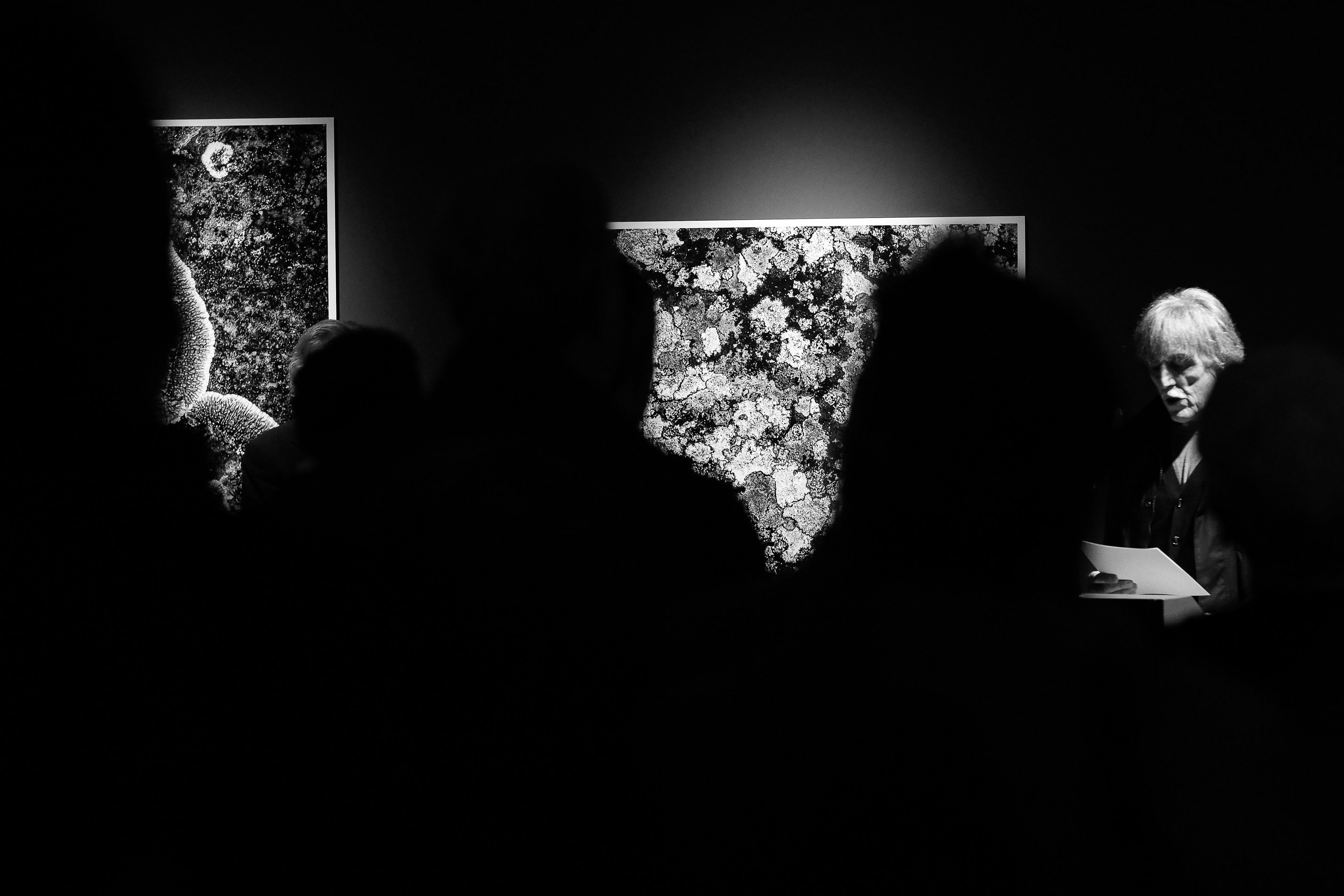 La temporada d’exposicions 2023 s’inaugura amb una mostra de la trajectòria del fotògraf Jaume Riba