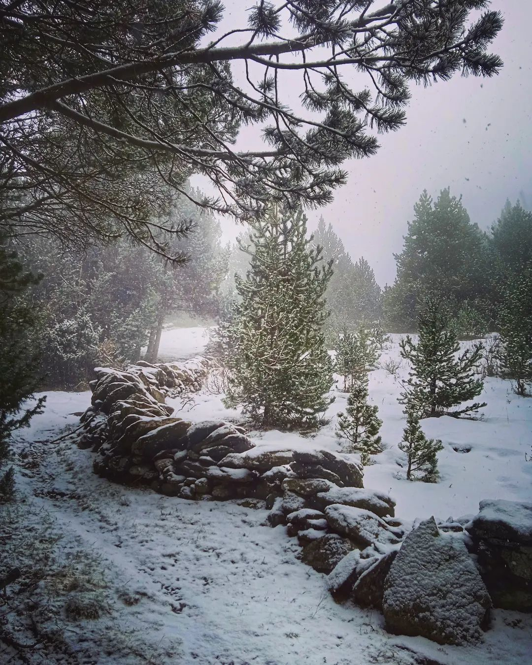 S’entreguen els premis al guanyadors del concurs de fotografia, ‘L’art de la pedra seca a Andorra’