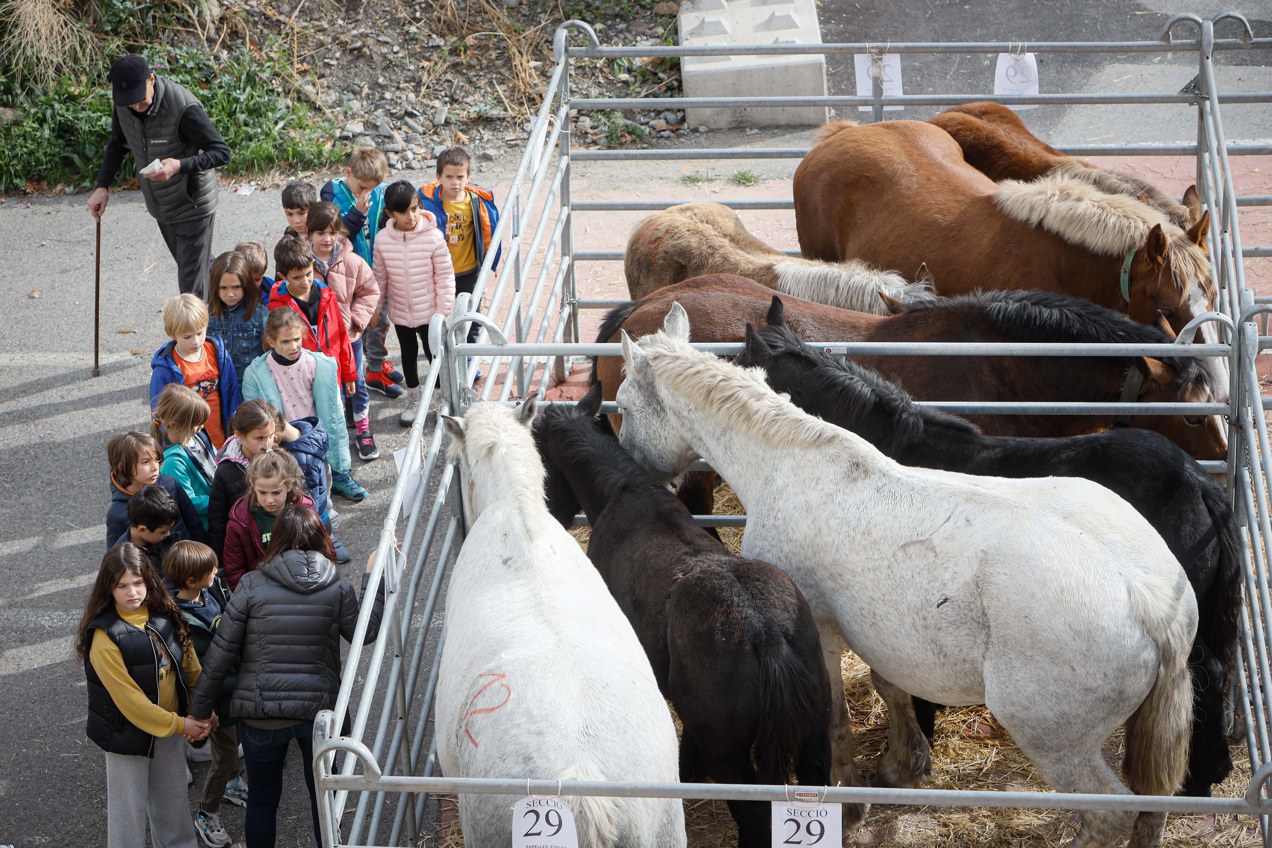 La ministra Calvó anuncia un ajut puntual per pal·liar la disminució de la producció farratgera durant la 43a edició Fira concurs del bestiar