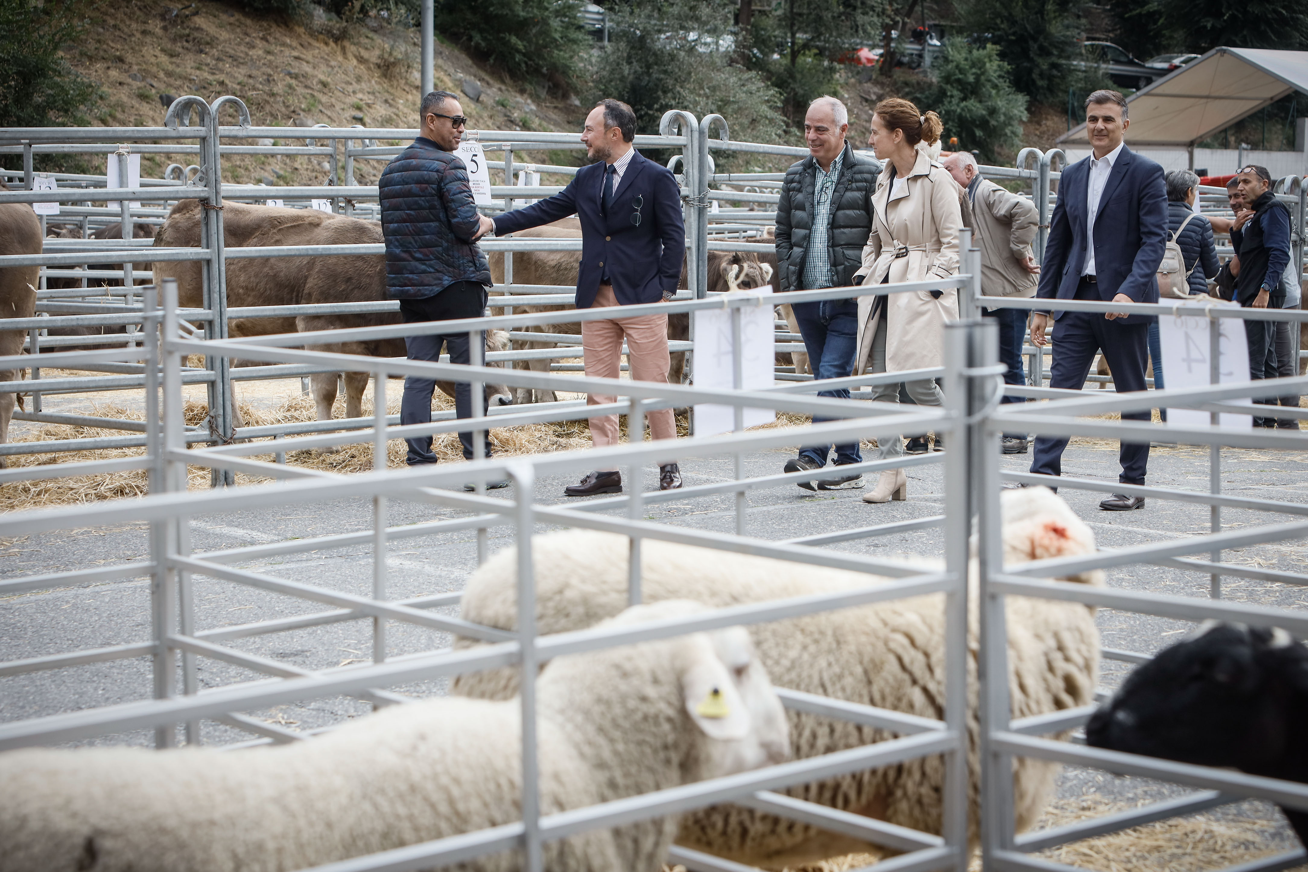 La ministra Calvó anuncia un ajut puntual per pal·liar la disminució de la producció farratgera durant la 43a edició Fira concurs del bestiar