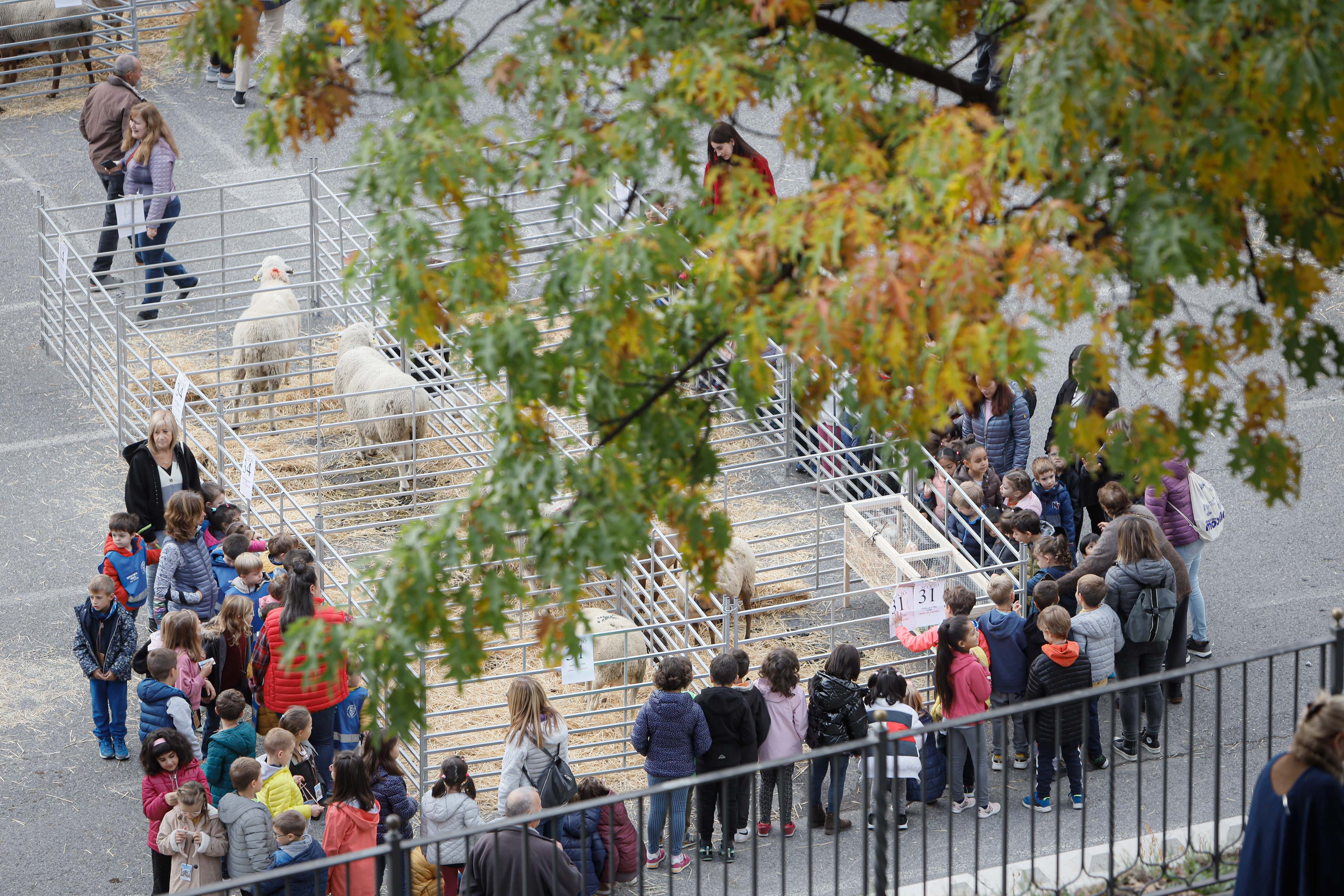 La ministra Calvó anuncia un ajut puntual per pal·liar la disminució de la producció farratgera durant la 43a edició Fira concurs del bestiar