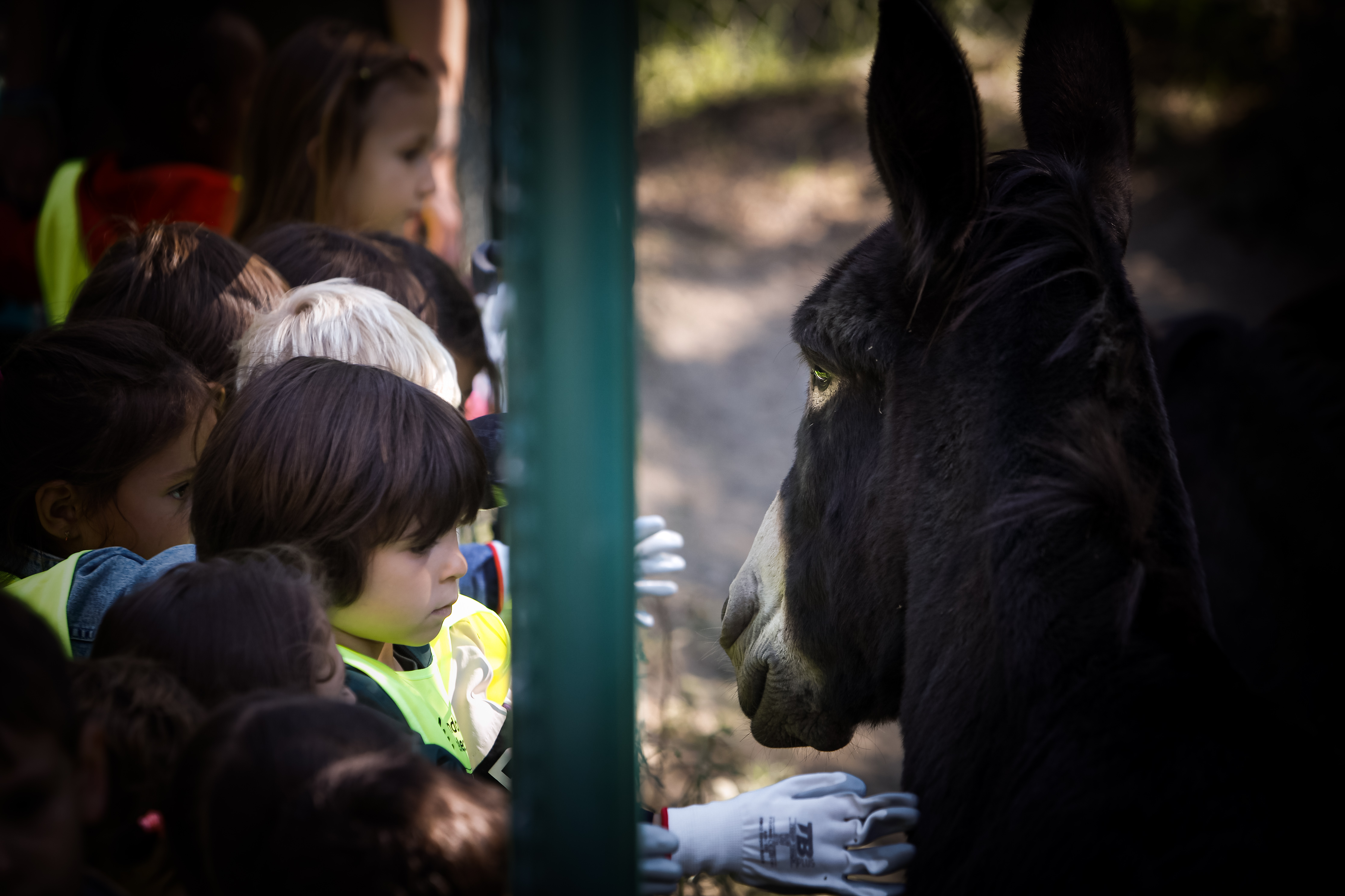 Calvó i Vilarrubla presenten l’Estratègia d’Educació Ambiental per impulsar patis més verds i camins d’anada a l’escola segurs i educatius