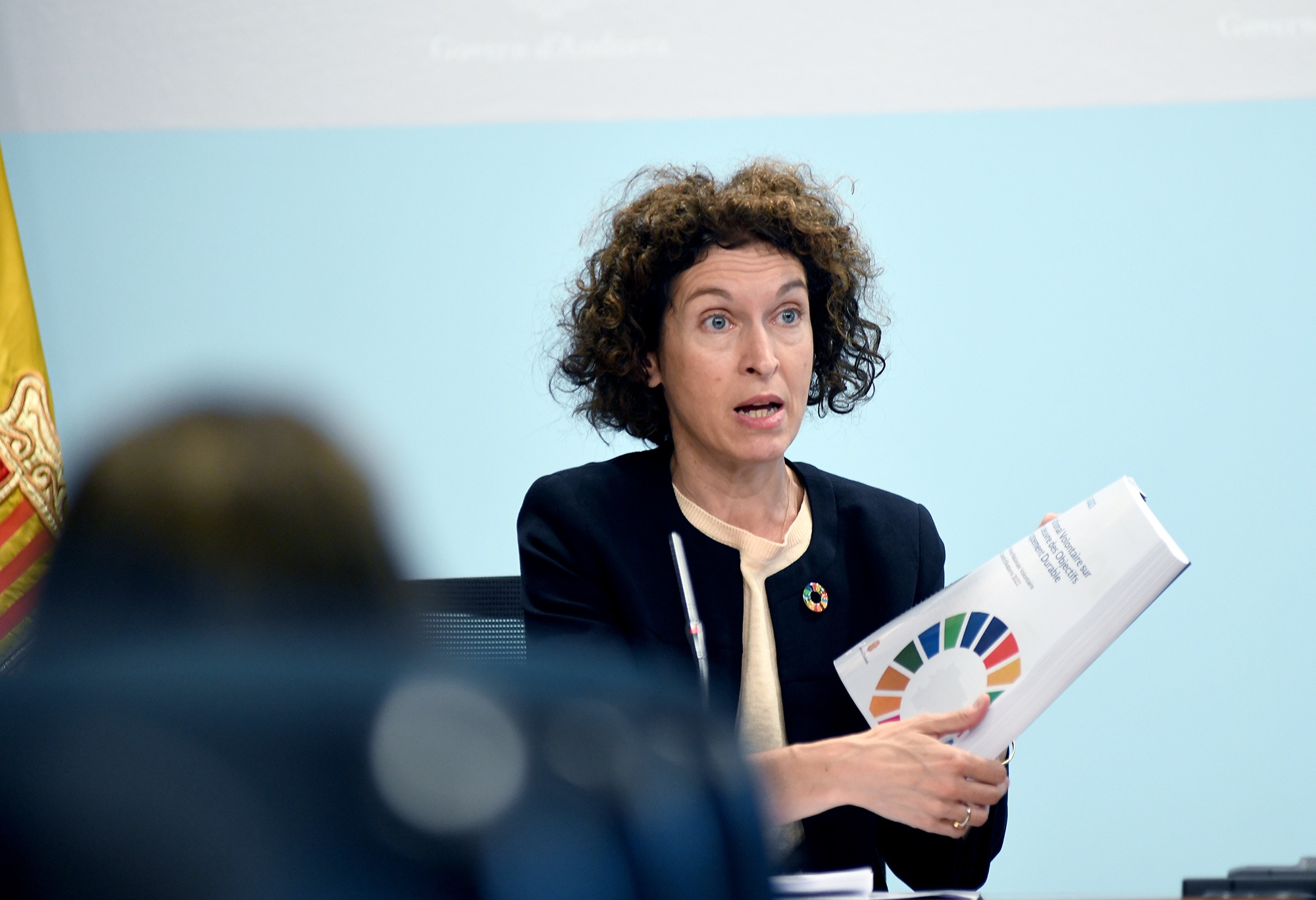 Andorra referma la protecció del medi natural i la promoció de la igualtat i del benestar en l’Informe Nacional Voluntari de l’ONU