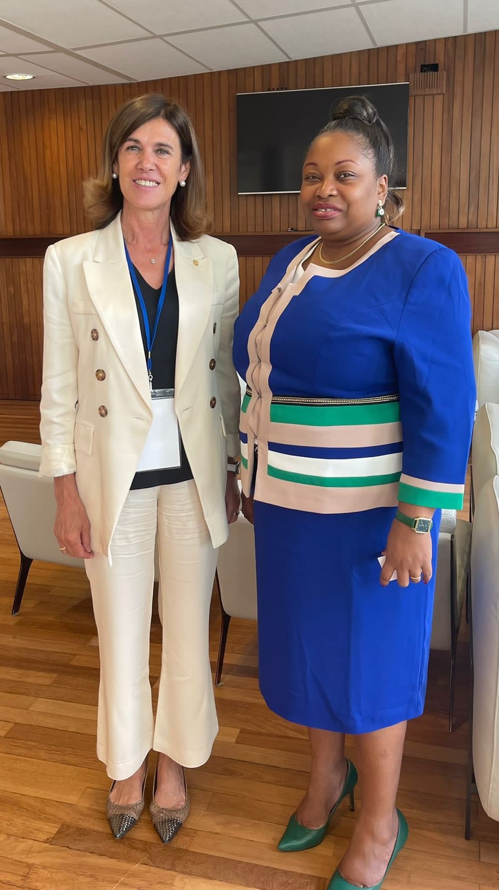 Vilarrubla defensa a la Precimera de les Nacions Unides la necessitat d’educar en cultura democràtica, pau i inclusió