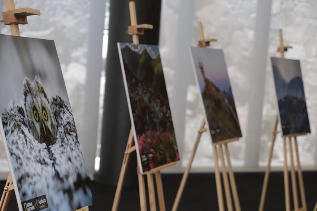 El documental i el llibre “Andorra al natural” mostren moments inèdits de la fauna i flora autòctones durant tot un any