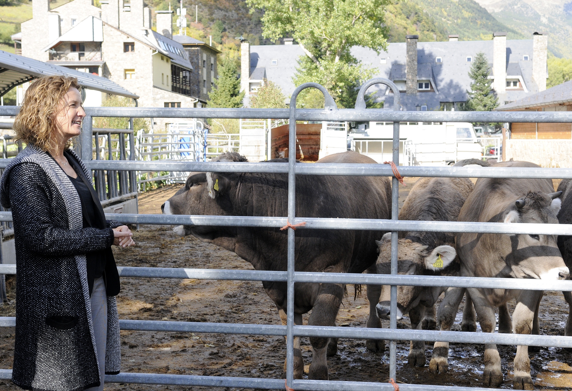 Agricultura estableix nous paràmetres de càlcul dels imports dels ajuts per beneficiar el sector ramader
