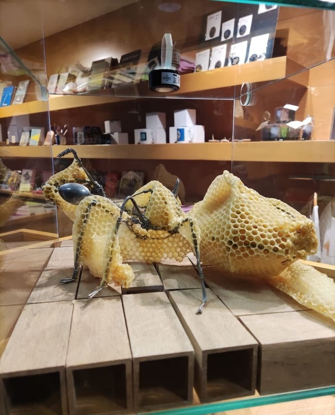 L’espai expositiu de Casa Rull acull una nova mostra que uneix la feina de l’artista i les abelles