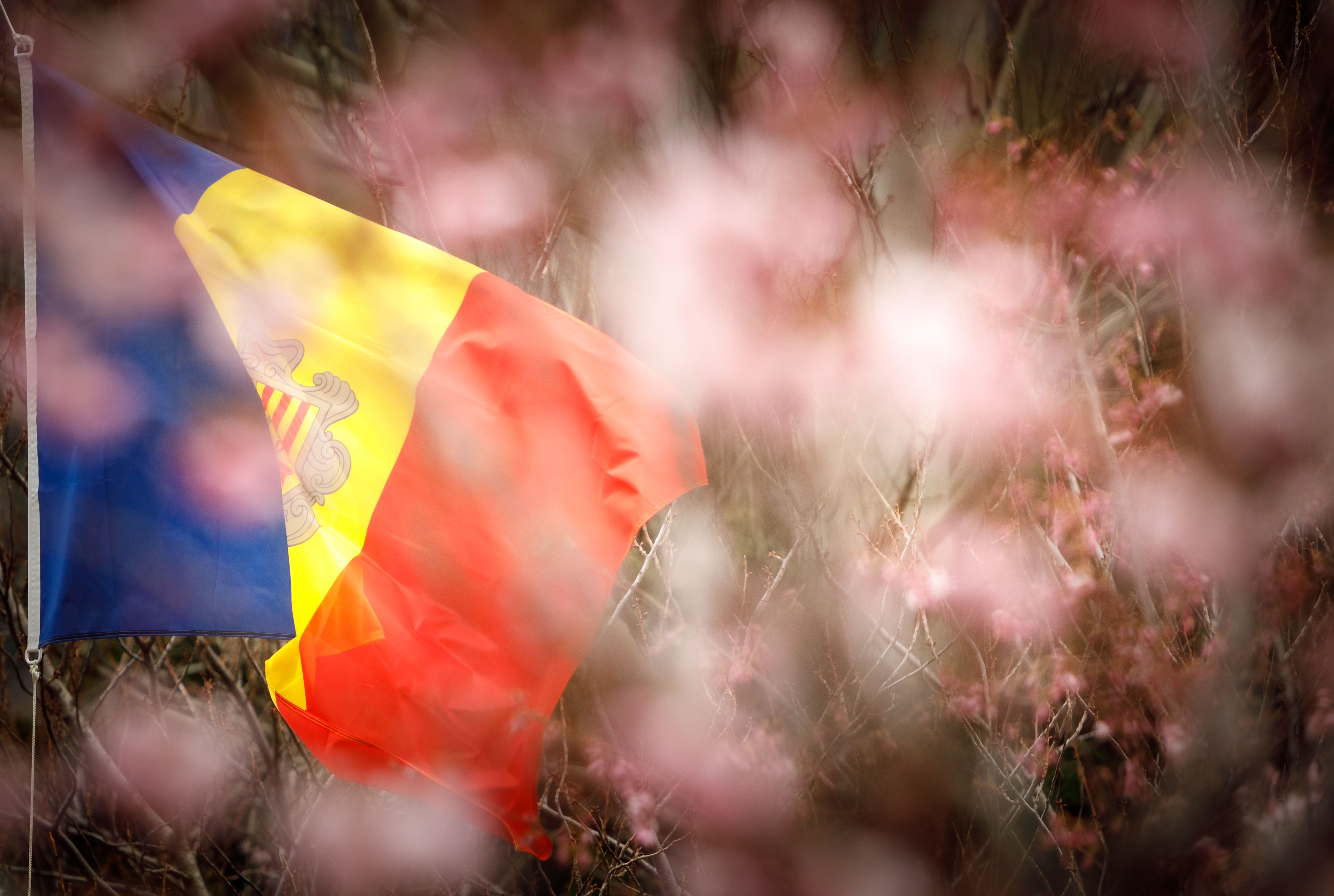 Salutació del cap de Govern amb motiu de la celebració del 29è aniversari de la Constitució