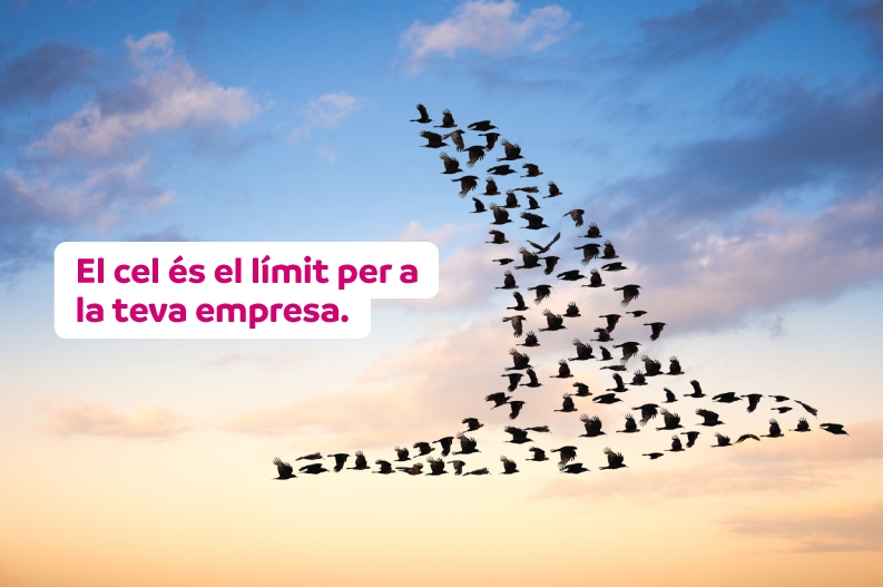 Andorra Telecom llança el servei de centraleta cloud per a autònoms i empreses