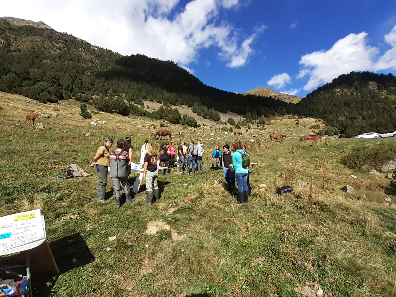 Científics i ecòlegs es reuneixen a Andorra en el marc de la trobada anual del projecte Plastic0pyr