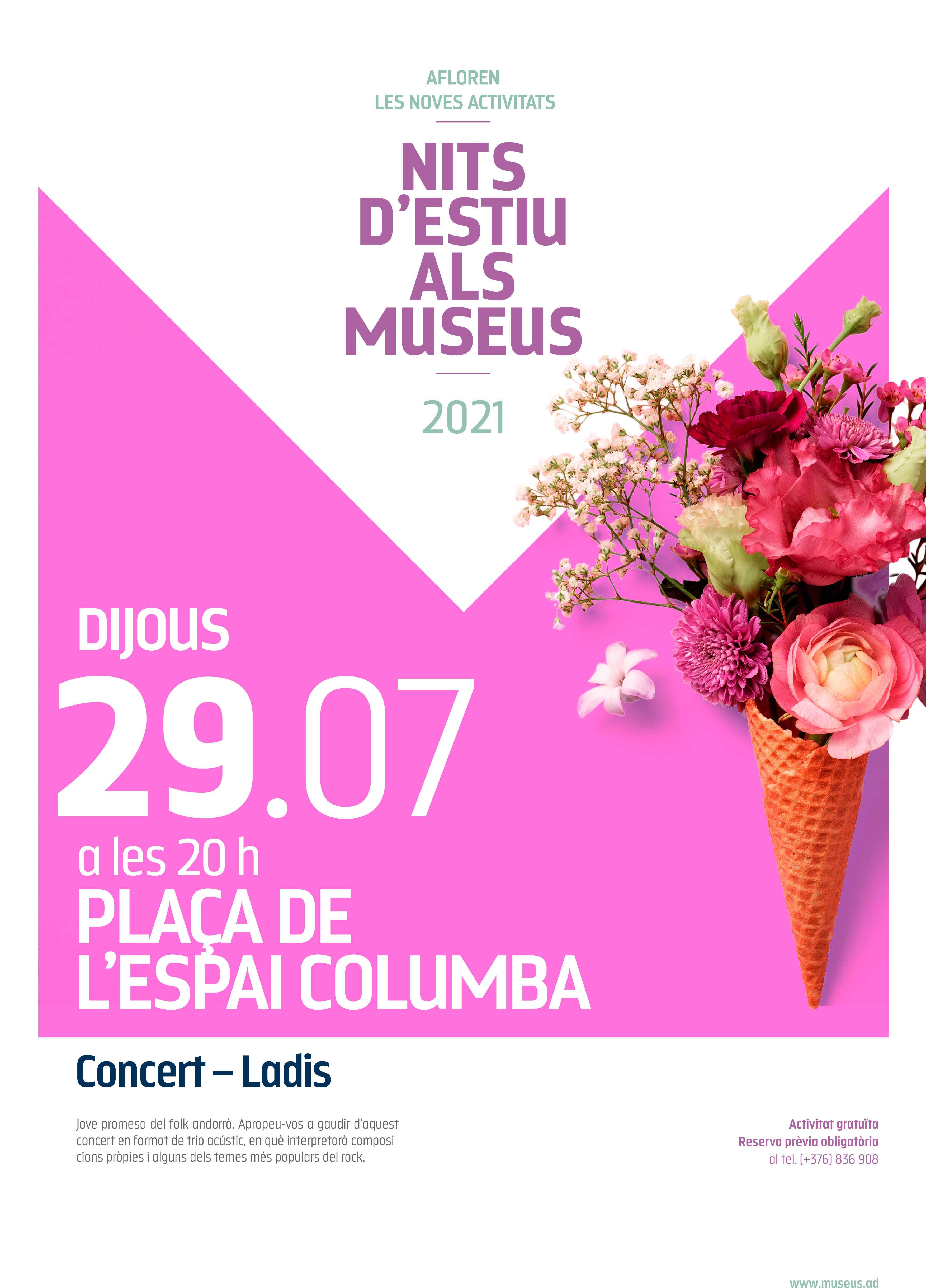 Música americana amb interpretació del país a les ‘Nits d’estiu als museus’