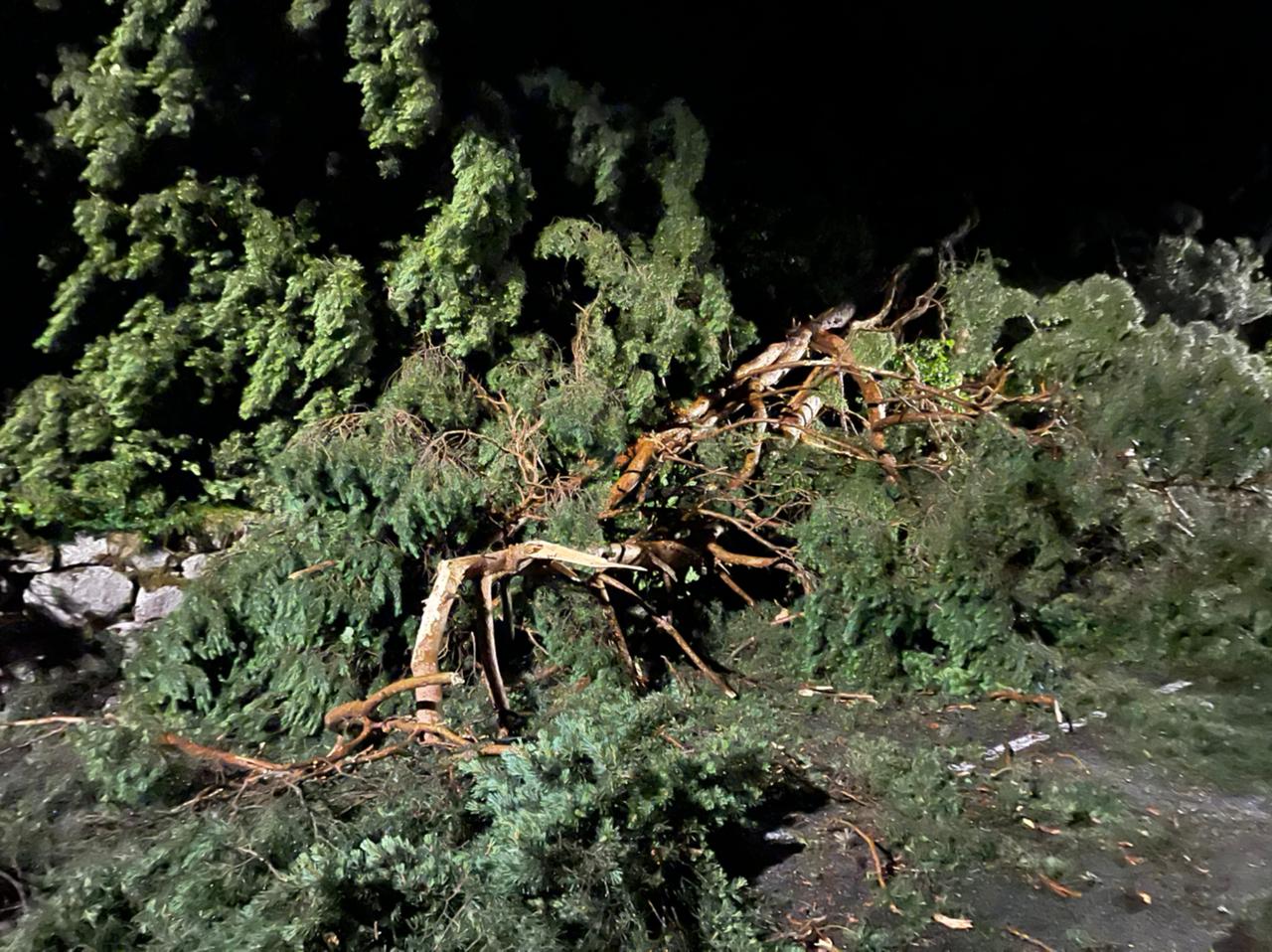 Un episodi de vent intens provoca diversos danys materials a diferents punts del país