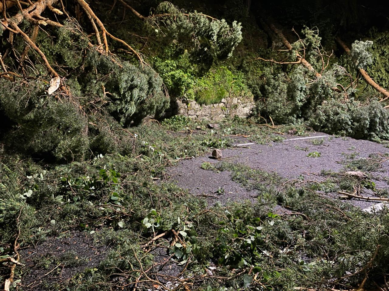Un episodi de vent intens provoca diversos danys materials a diferents punts del país