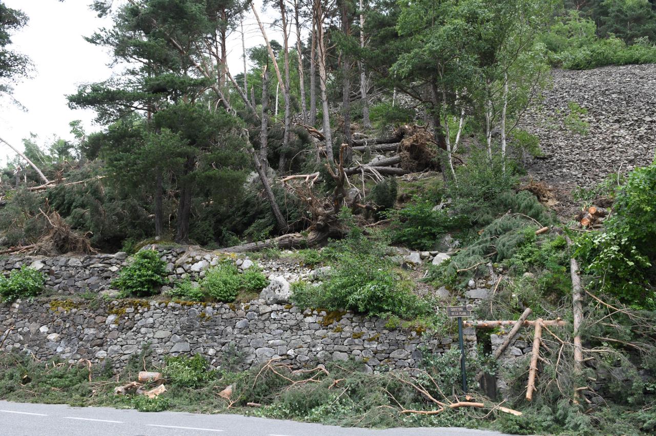 Un episodi de vent intens provoca diversos danys materials a diferents punts del país