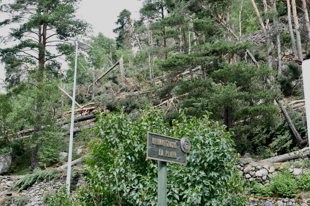 Un episodi de vent intens provoca diversos danys materials a diferents punts del país