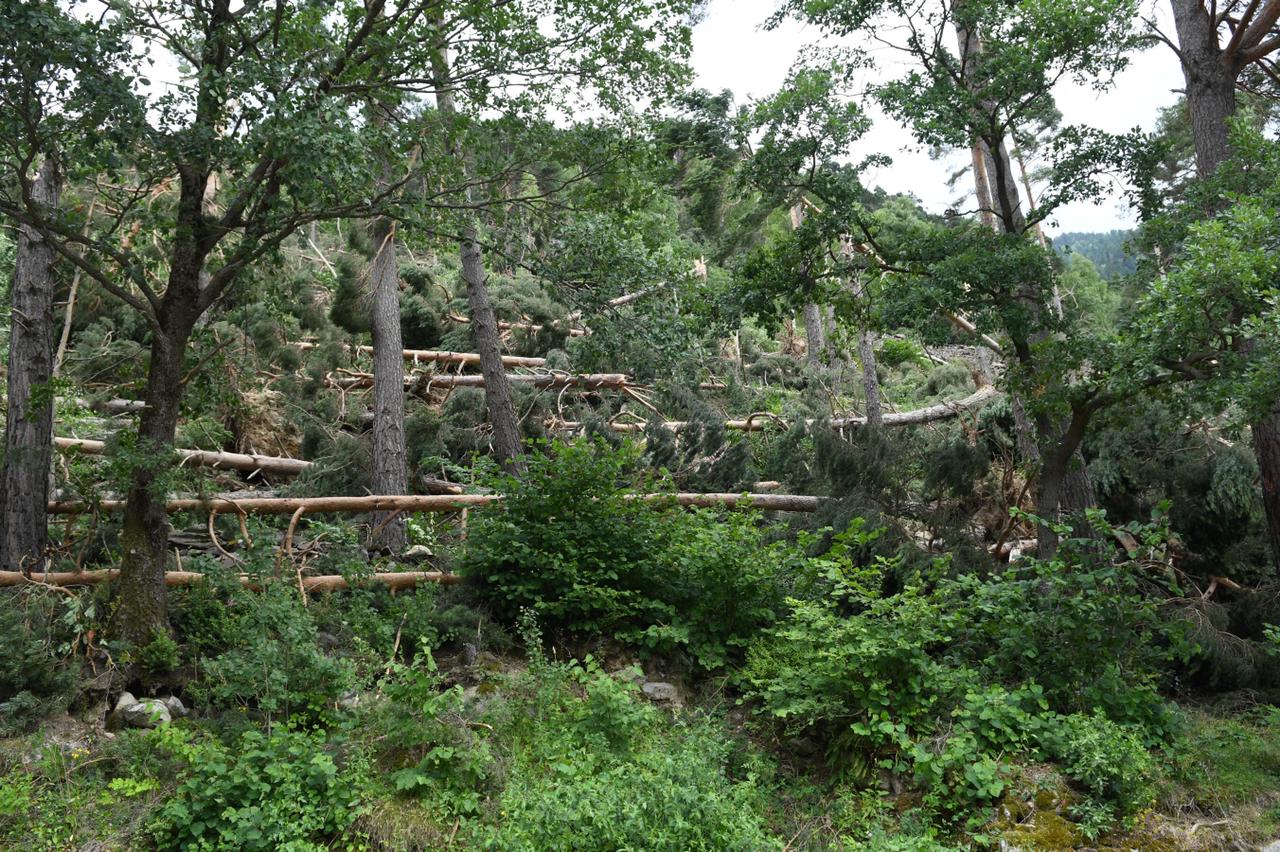 Un episodi de vent intens provoca diversos danys materials a diferents punts del país