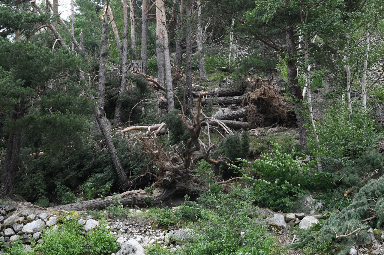 Un episodi de vent intens provoca diversos danys materials a diferents punts del país