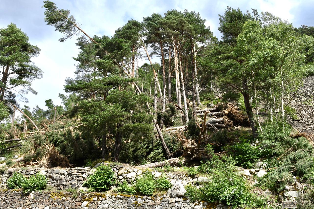 Un episodi de vent intens provoca diversos danys materials a diferents punts del país