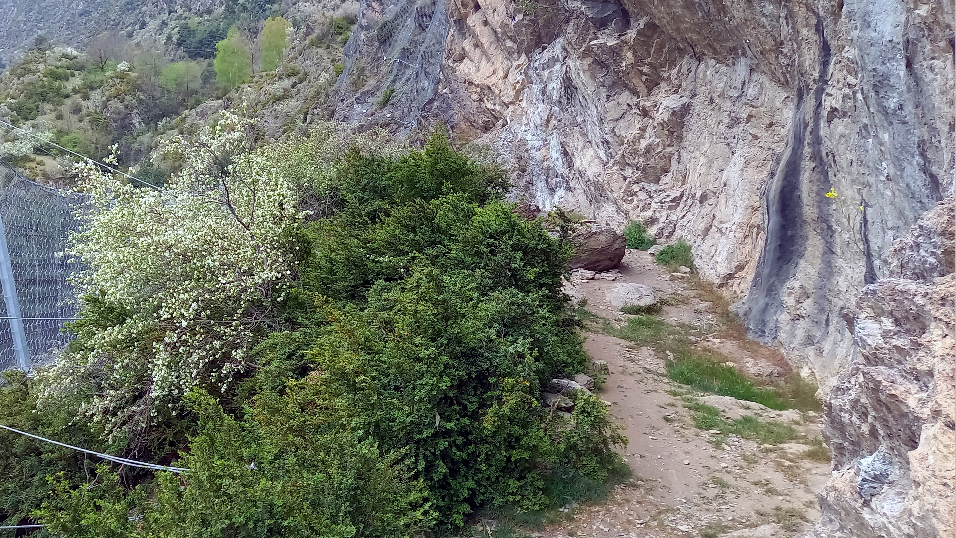 Cultura arriba a un acord amb la societat Els Arbres de la Tardor SLU per fer una intervenció arqueològica a la Balma del Llunci que dirigirà ReGiraRocs