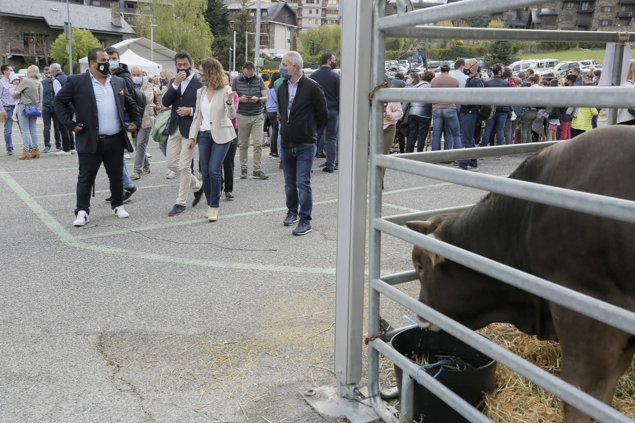 Calvó destaca el bon estat de salut del sector ramader a la fira del bestiar d’Ordino