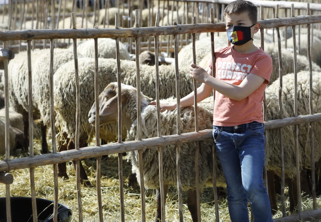 Calvó destaca el bon estat de salut del sector ramader a la fira del bestiar d’Ordino