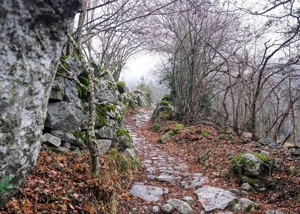 Patrimoni Cultural fa una valoració positiva de la participació de la ciutadania en les activitats de la Setmana de la Pedra Seca