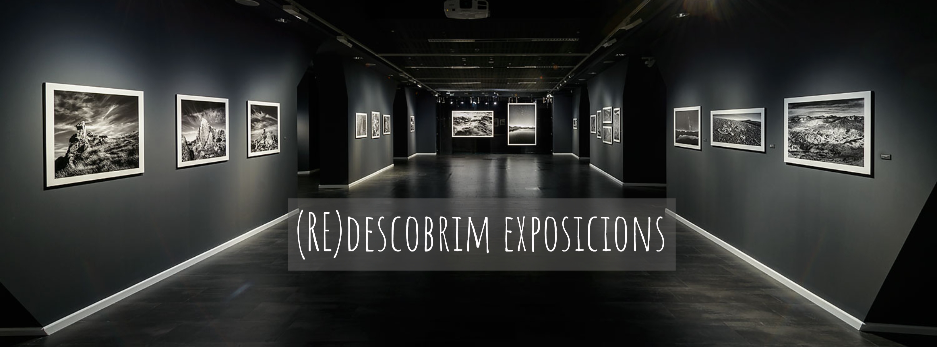 Cultura aposta per redescobrir les exposicions de manera virtual per difondre l’art mentre no es disposi d’un nou espai expositiu