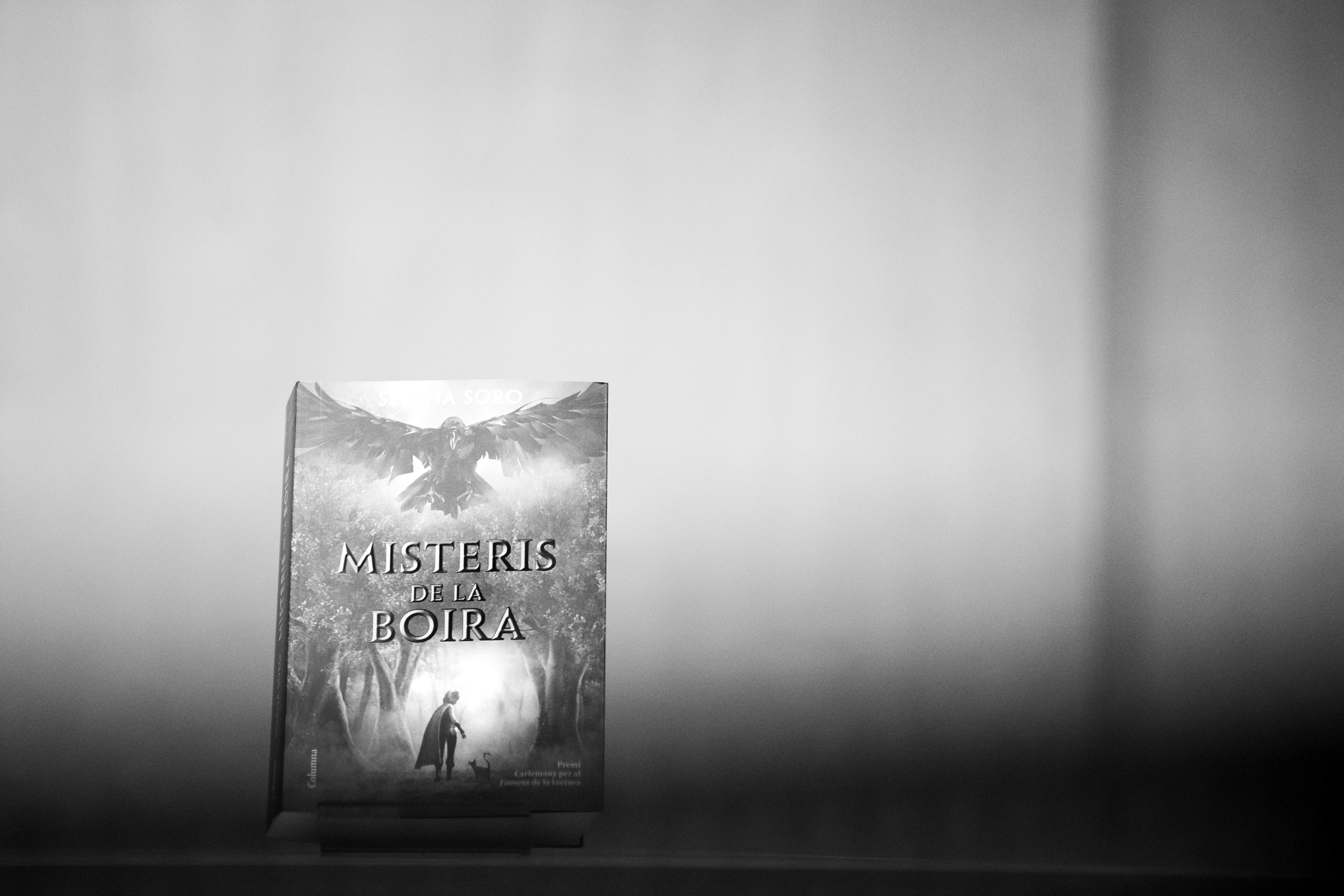 Riva lliura el Premi Carlemany per al Foment de la Lectura 2019 a l’autora novell Selena Soro per l’obra ‘Misteris de la boira’