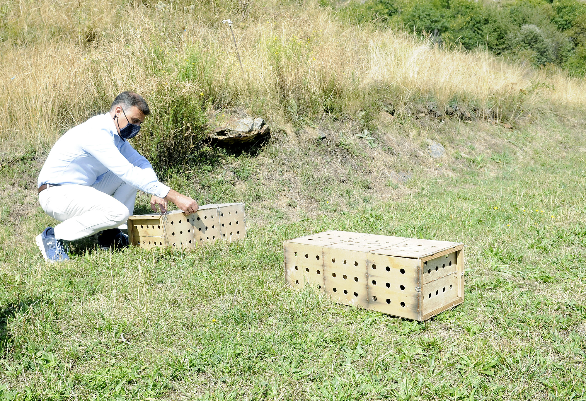 Alliberades més d’un centenar de perdius xerra procedents del centre de cria