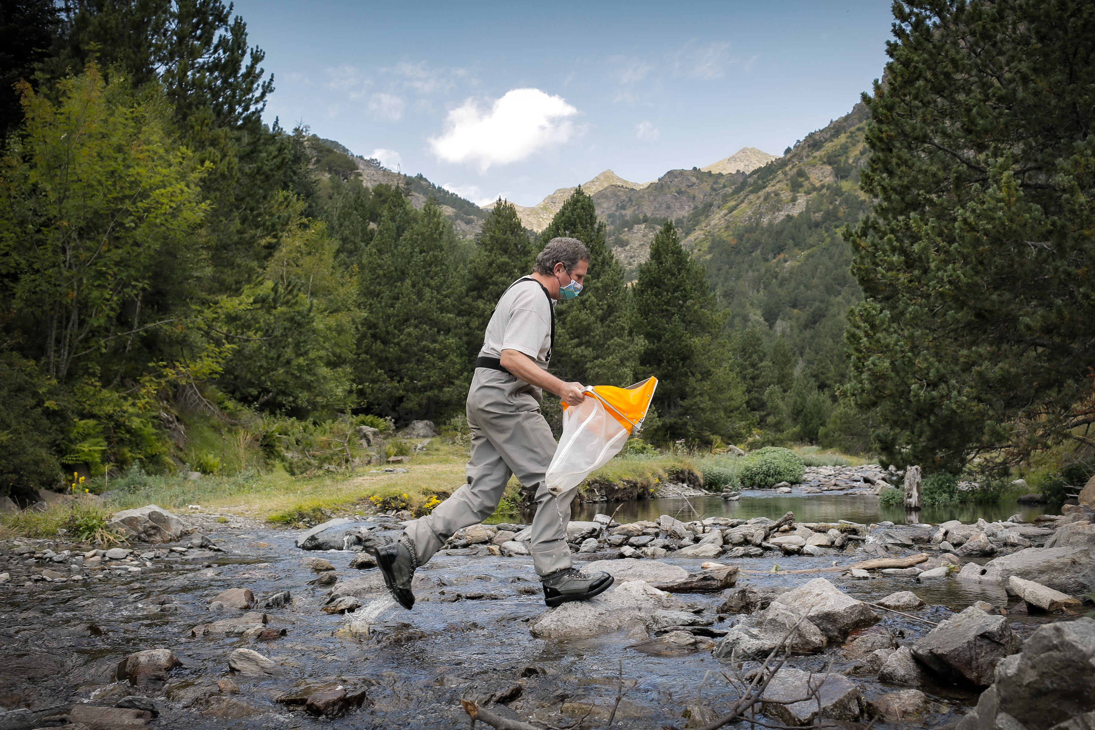 La qualitat de les aigües superficials és bona o excel·lent en gairebé la totalitat del país
