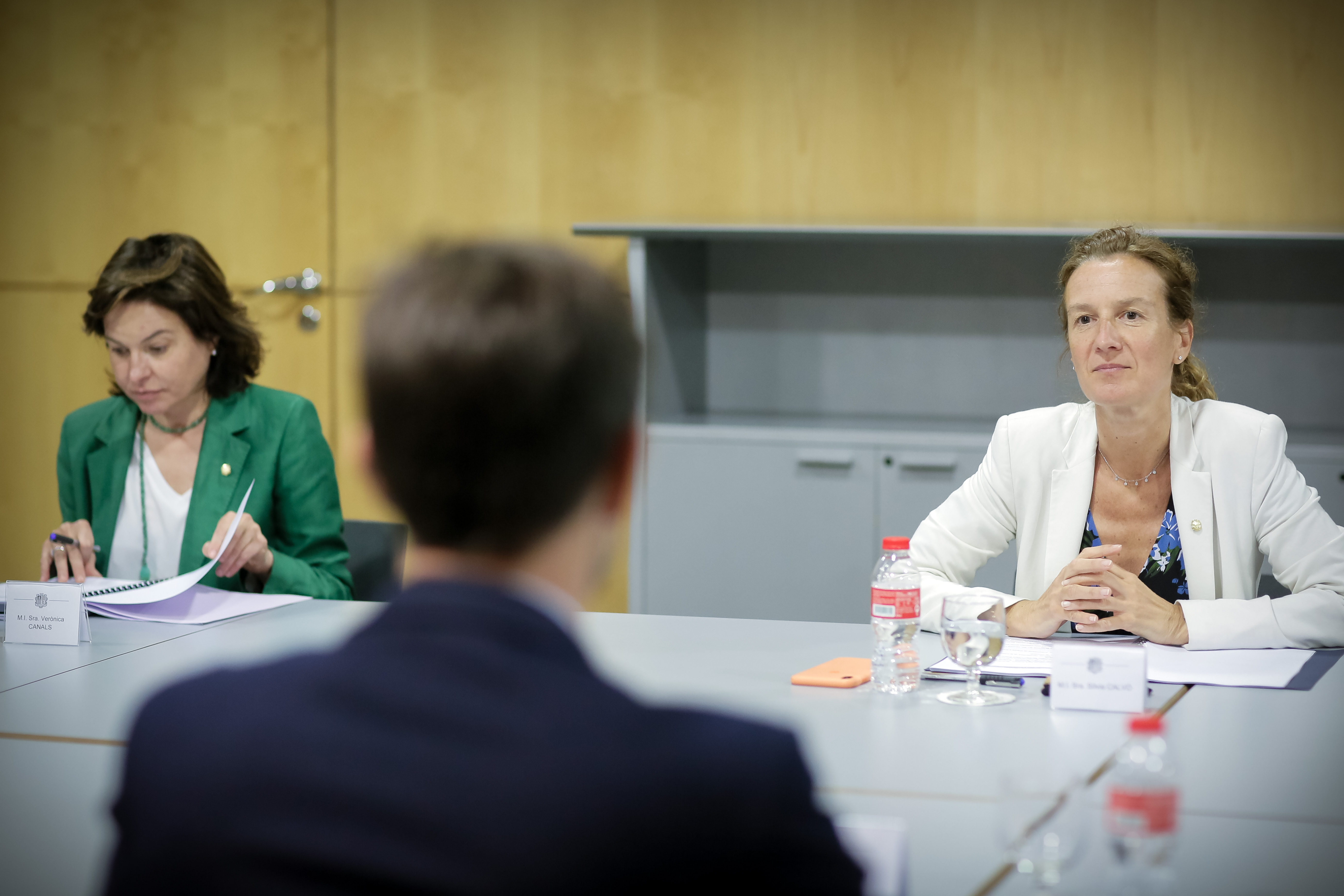 Andorra i la regió d’Occitània impulsaran projectes de cooperació transfronterera en els àmbits del turisme i del medi ambient