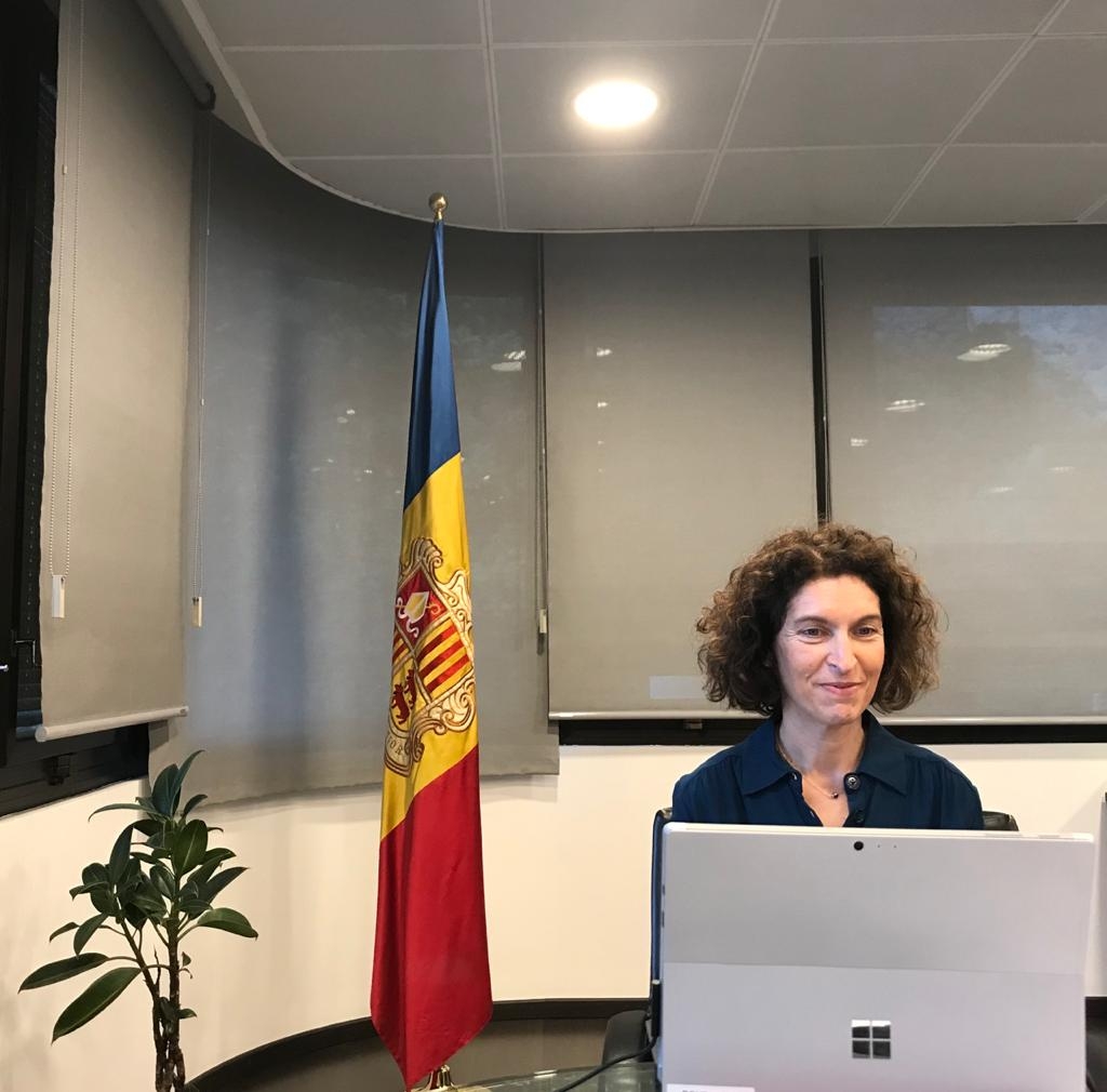 Ubach referma el compromís d’Andorra amb la cooperació internacional en la reunió telemàtica del Consell de Seguretat de les Nacions Unides