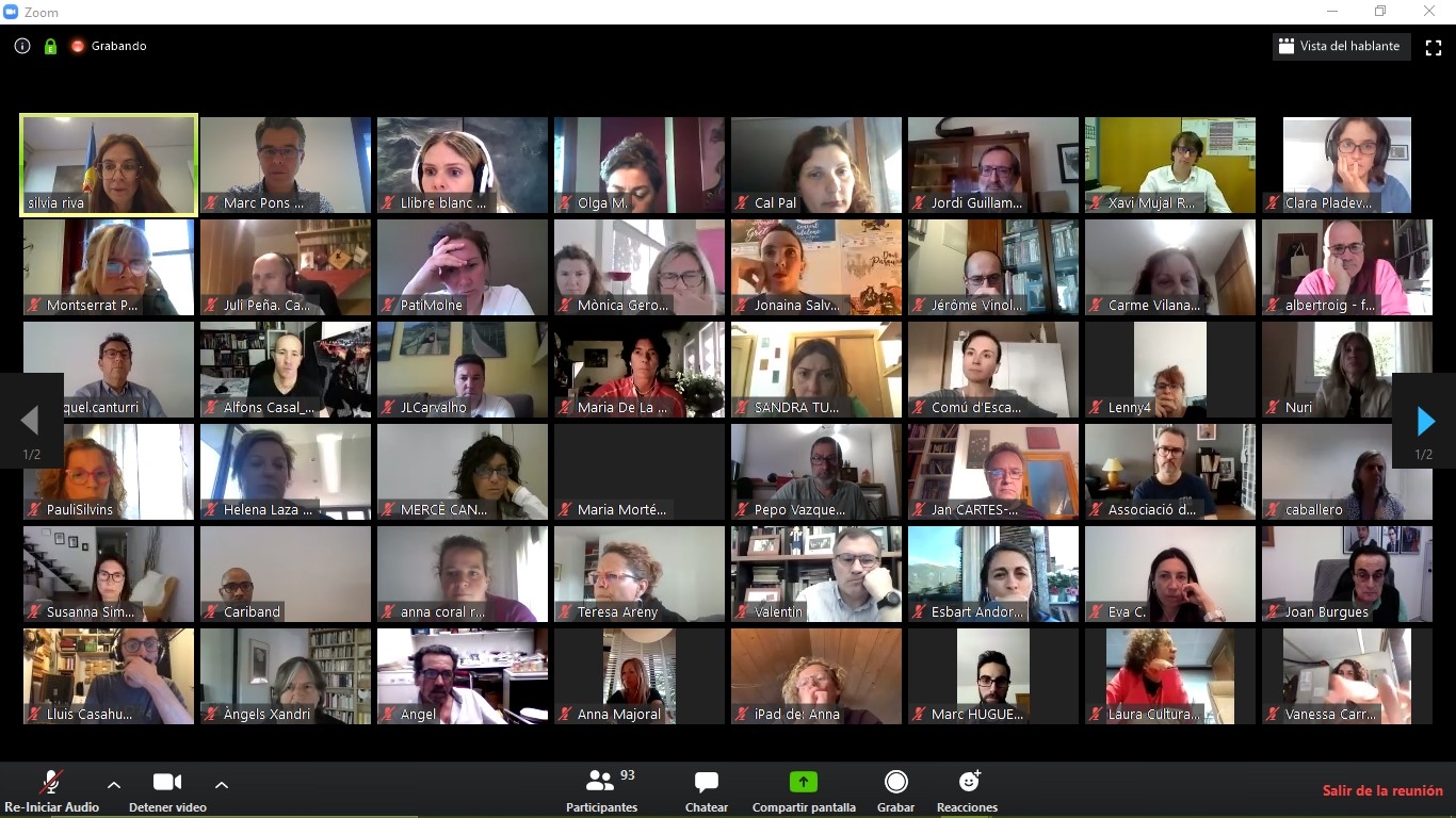 Primera trobada virtual amb els diversos actors de la cultura per continuar amb els treballs del Llibre blanc