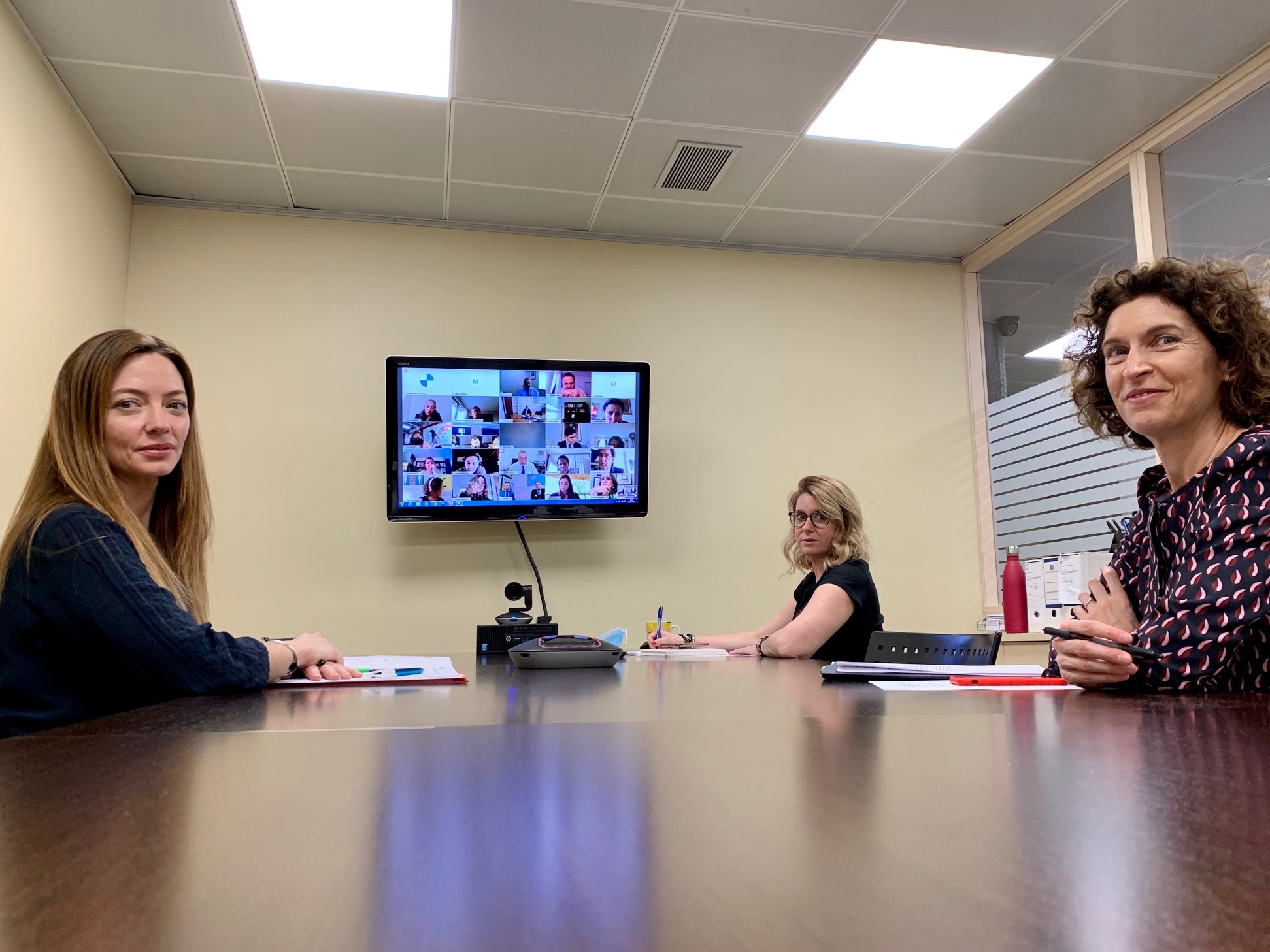 El Govern presenta l’estudi de tests d’anticossos a tota la població en un diàleg telemàtic amb els països iberoamericans