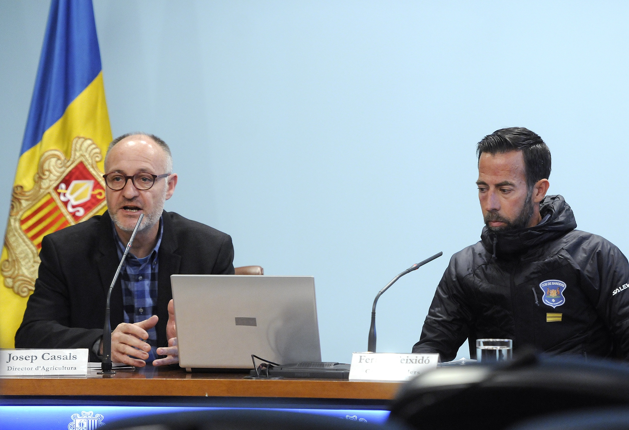 Procediment simplificat per controlar les infraccions en la tinença de gossos potencialment perillosos