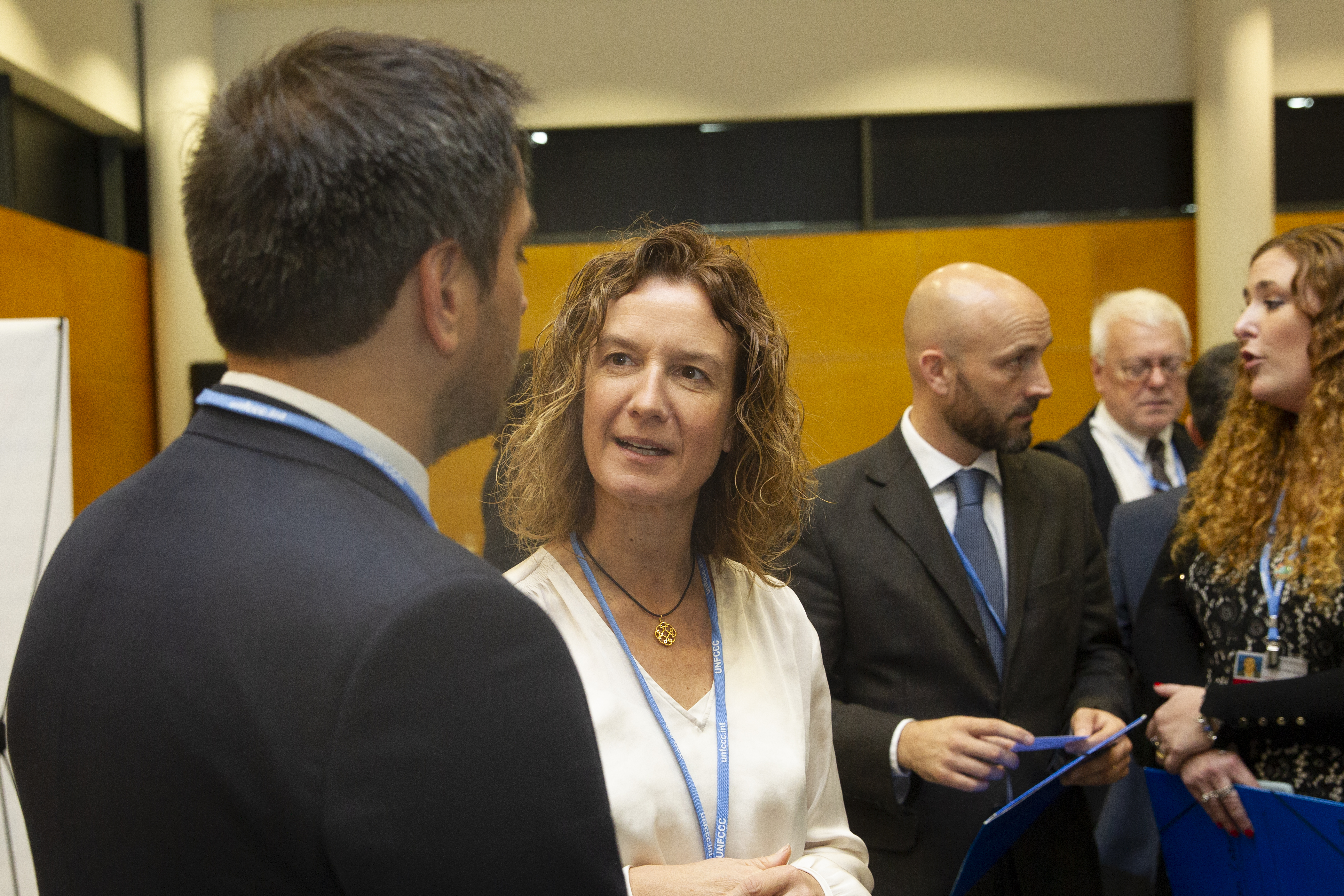 Els ministres iberoamericans feliciten Andorra per recuperar la ministerial de Medi Ambient com a prèvia a la Cimera