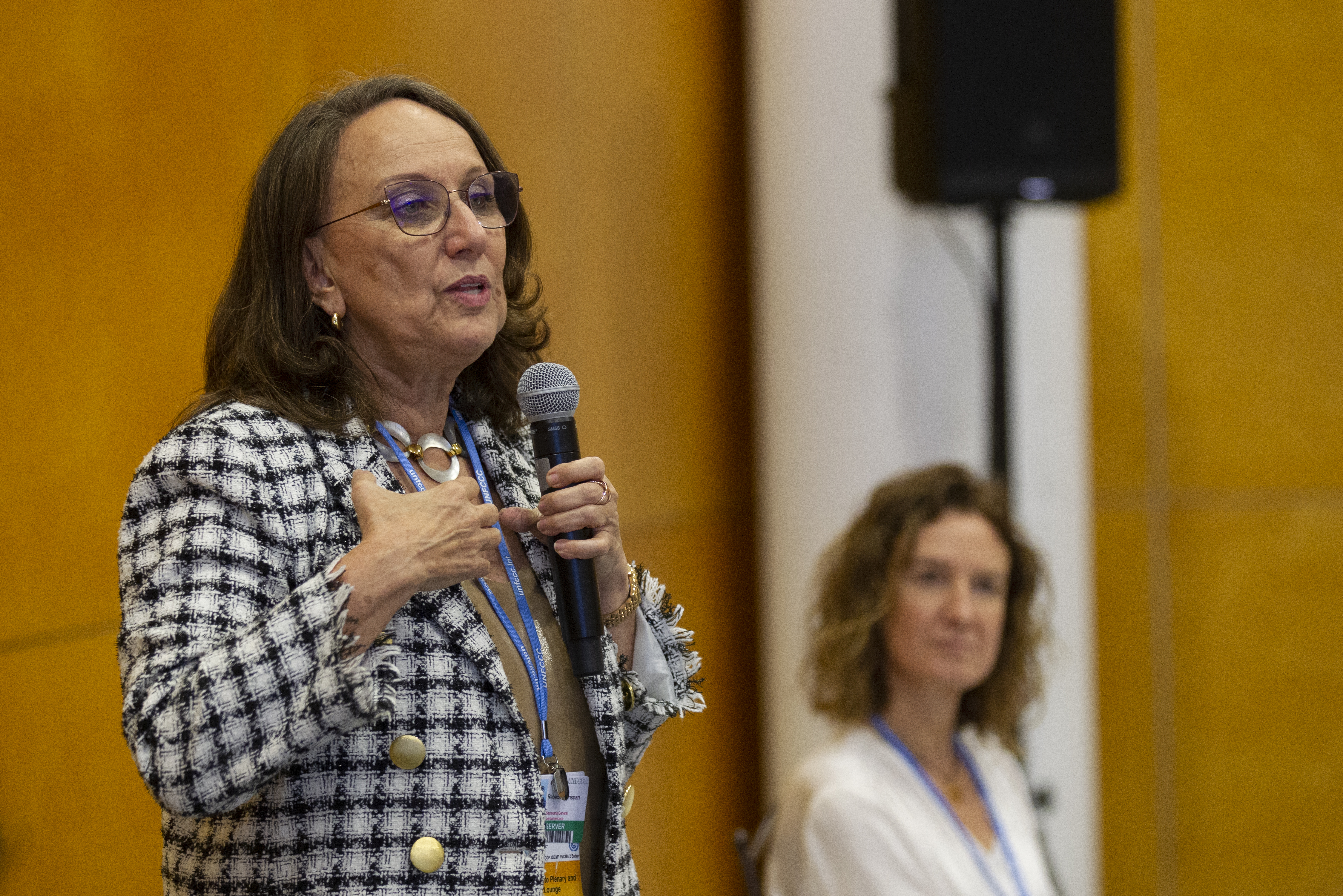 Els ministres iberoamericans feliciten Andorra per recuperar la ministerial de Medi Ambient com a prèvia a la Cimera