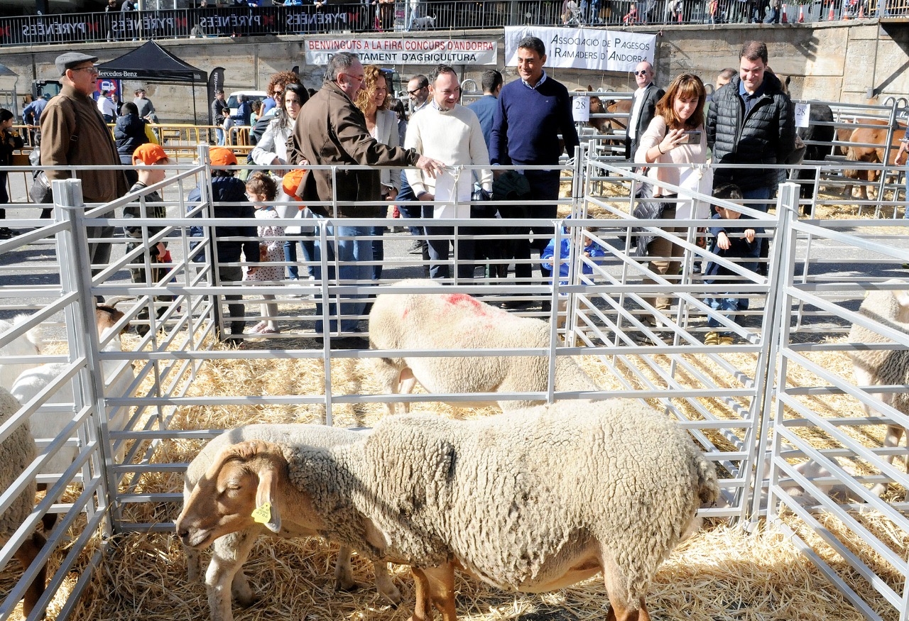 Calvó anuncia un pla d’acció per atendre i donar resposta a les demandes recollides després de visitar tots els ramaders