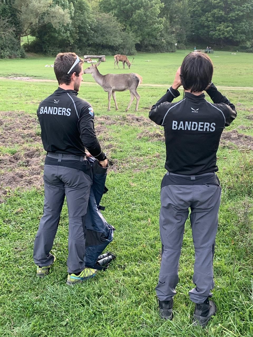 Els Banders participen a una formació sobre l’os bru a Itàlia