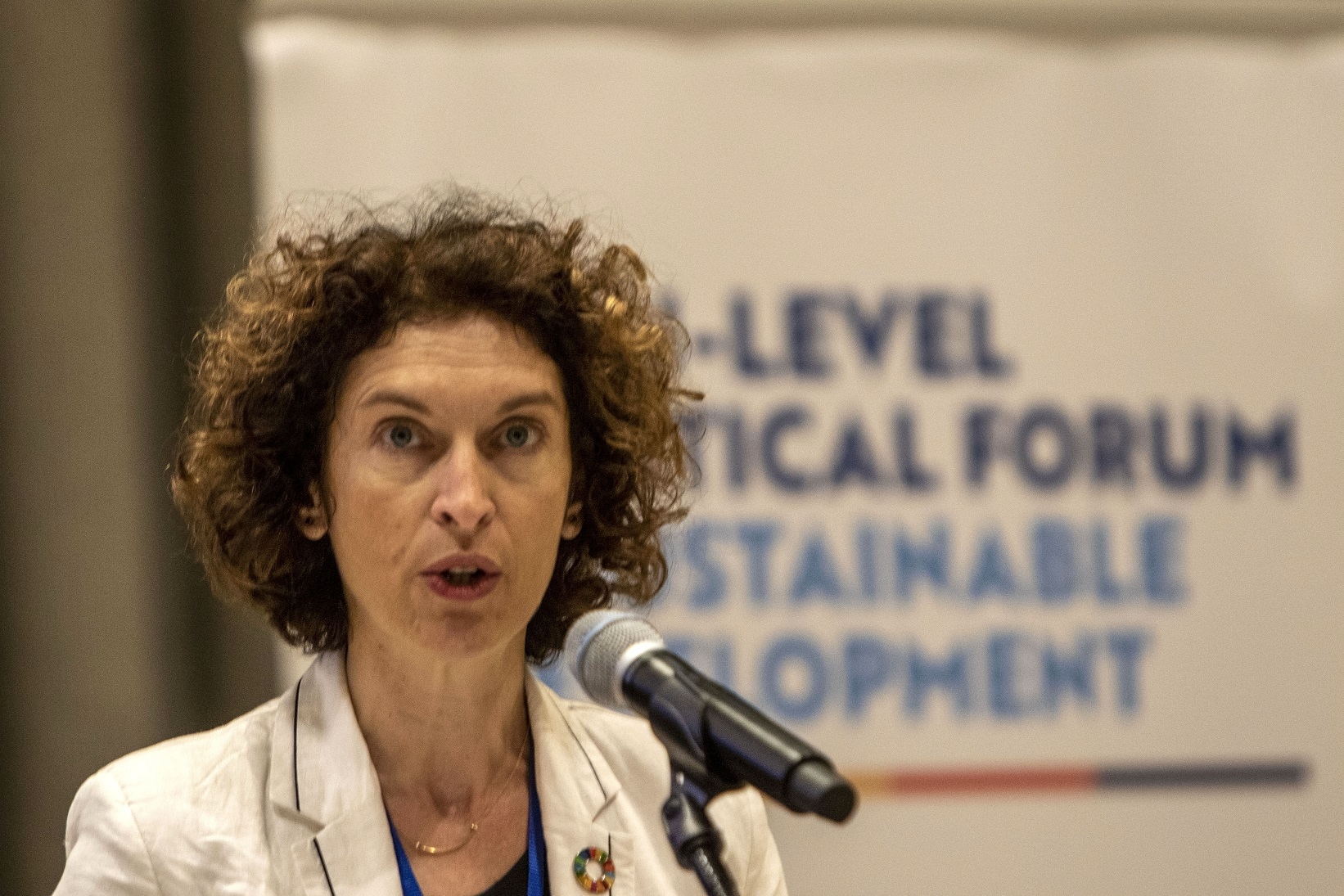 Ubach reafirma la prioritat d’Andorra d’implementar els ODS en el Fòrum Polític d’Alt Nivell sobre desenvolupament sostenible de les Nacions Unides