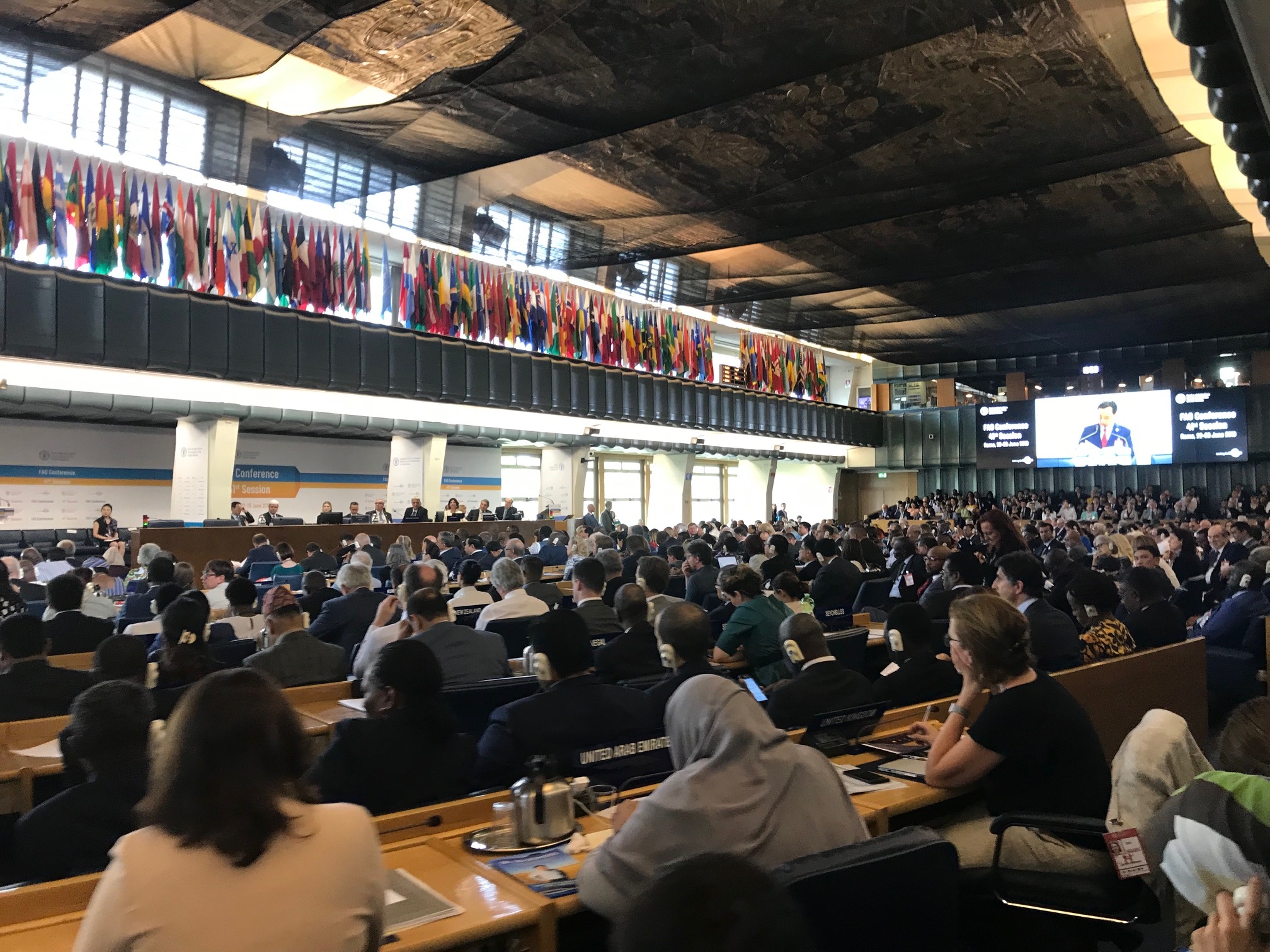 Calvó i Rossell participen a la votació del nou director general a la 41a Conferència de la FAO de les Nacions Unides