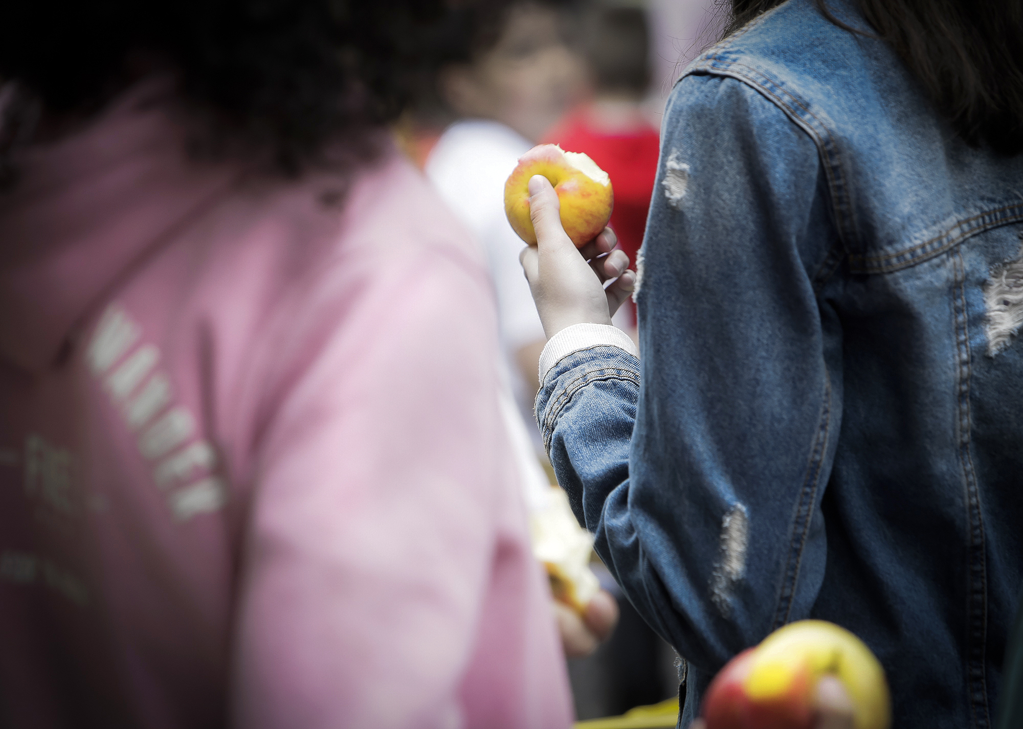 Se celebra la 9a edició del Fòrum d’Escoles Verdes