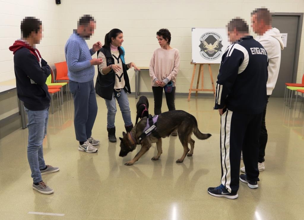 S'imparteix un curs d'auxiliar en educador caní al Centre Penitenciari