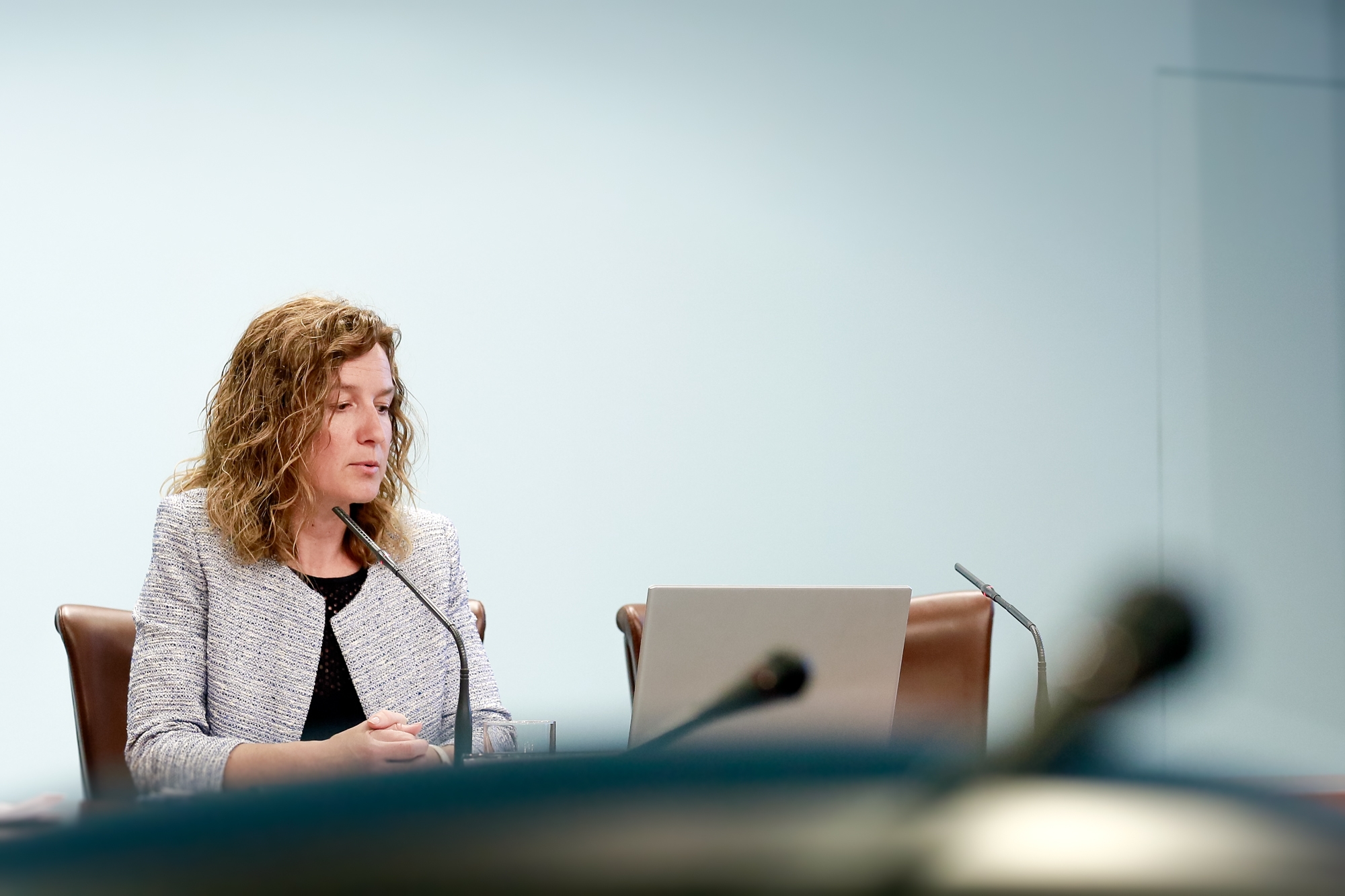 S'aprova el Projecte de llei de conservació del medi natural, de la biodiversitat i del paisatge que esdevindrà la primera norma legal d'aquest àmbit